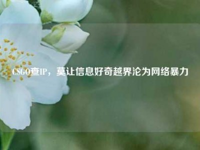 CSGO查IP，莫让信息好奇越界沦为网络暴力