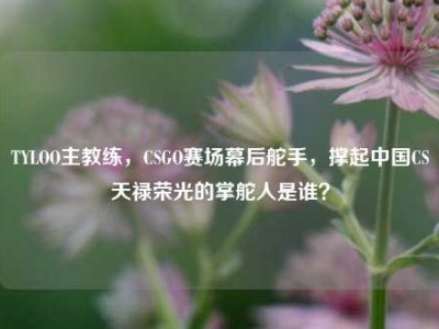 TYLOO主教练，CSGO赛场幕后舵手，撑起中国CS天禄荣光的掌舵人是谁？