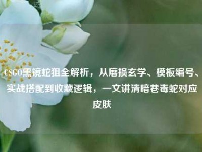 CSGO黑镜蛇狙全解析，从磨损玄学、模板编号、实战搭配到收藏逻辑，一文讲清暗巷毒蛇对应皮肤