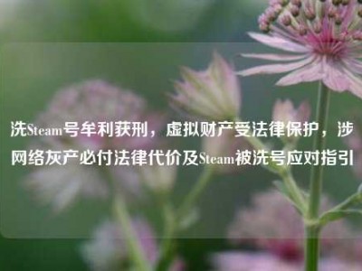 洗Steam号牟利获刑，虚拟财产受法律保护，涉网络灰产必付法律代价及Steam被洗号应对指引