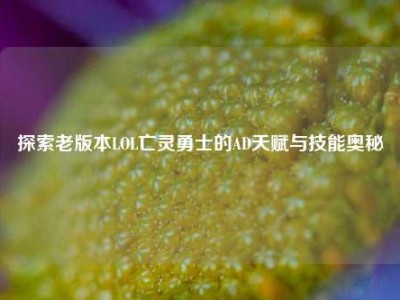 探索老版本LOL亡灵勇士的AD天赋与技能奥秘