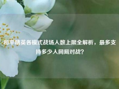 和平精英各模式战场人数上限全解析，最多支持多少人同局对战？