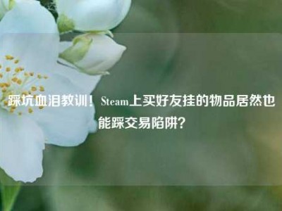 踩坑血泪教训！Steam上买好友挂的物品居然也能踩交易陷阱？