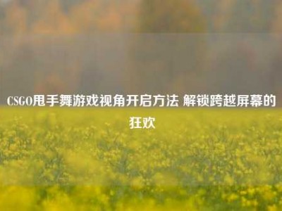 CSGO甩手舞游戏视角开启方法 解锁跨越屏幕的狂欢