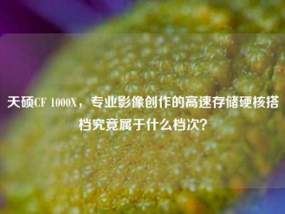 天硕CF 1000X，专业影像创作的高速存储硬核搭档究竟属于什么档次？