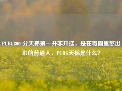 PUBG8000分天梯第一并非开挂，是在毒圈里熬出来的普通人，PUBG天梯是什么？