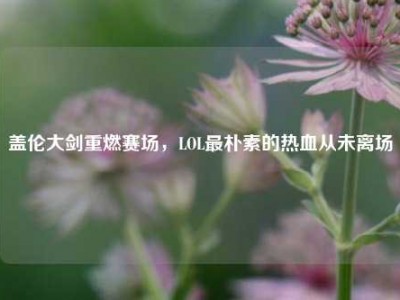 盖伦大剑重燃赛场，LOL最朴素的热血从未离场
