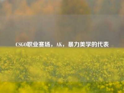 CSGO职业赛场，AK，暴力美学的代表