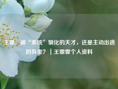 王霏：被“系统”驯化的天才，还是主动出逃的异类？｜王霏霏个人资料