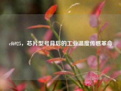 cf6925，芯片型号背后的工业温度传感革命