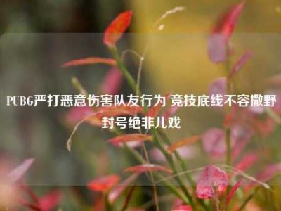PUBG严打恶意伤害队友行为 竞技底线不容撒野封号绝非儿戏