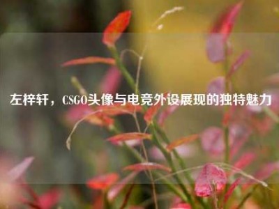 左梓轩，CSGO头像与电竞外设展现的独特魅力