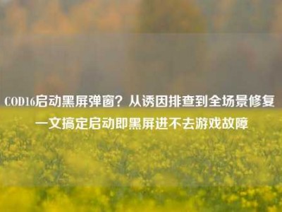 COD16启动黑屏弹窗？从诱因排查到全场景修复 一文搞定启动即黑屏进不去游戏故障