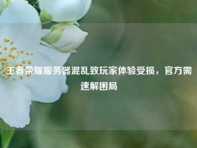 王者荣耀服务器混乱致玩家体验受损，官方需速解困局