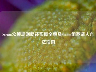 Steam众筹规则路径实操全解及Steam组邀请人方法指南