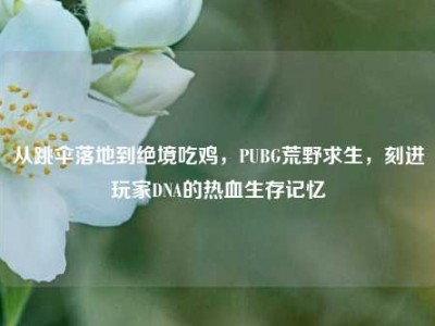 从跳伞落地到绝境吃鸡，PUBG荒野求生，刻进玩家DNA的热血生存记忆