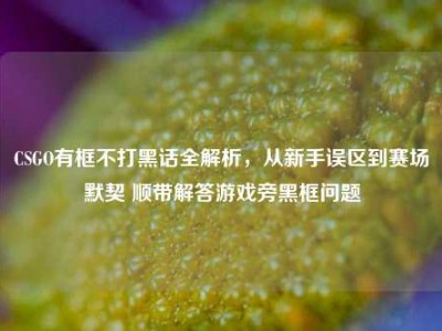 CSGO有框不打黑话全解析，从新手误区到赛场默契 顺带解答游戏旁黑框问题