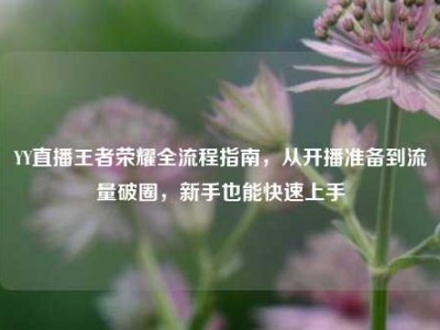 YY直播王者荣耀全流程指南，从开播准备到流量破圈，新手也能快速上手