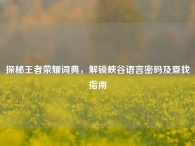 探秘王者荣耀词典，解锁峡谷语言密码及查找指南