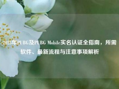 2025年PUBG及PUBG Mobile实名认证全指南，所需软件、最新流程与注意事项解析