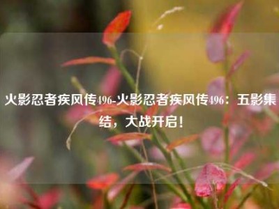 火影忍者疾风传496-火影忍者疾风传496：五影集结，大战开启！