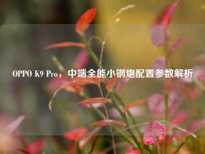 OPPO K9 Pro，中端全能小钢炮配置参数解析