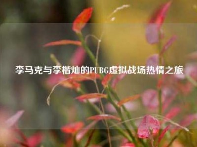 李马克与李楷灿的PUBG虚拟战场热情之旅