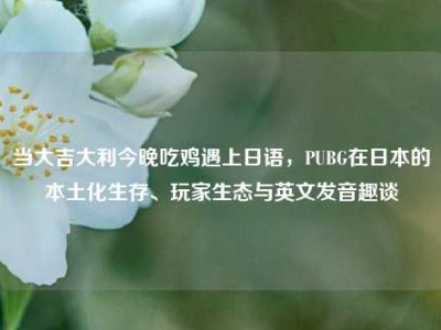 当大吉大利今晚吃鸡遇上日语，PUBG在日本的本土化生存、玩家生态与英文发音趣谈