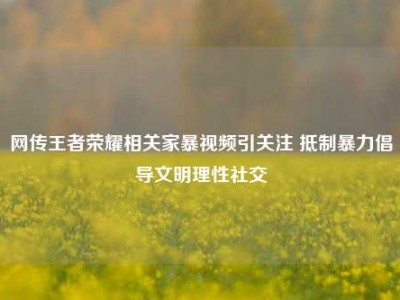 网传王者荣耀相关家暴视频引关注 抵制暴力倡导文明理性社交