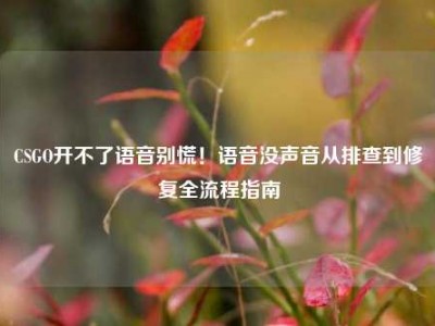 CSGO开不了语音别慌！语音没声音从排查到修复全流程指南