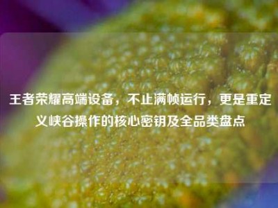 王者荣耀高端设备，不止满帧运行，更是重定义峡谷操作的核心密钥及全品类盘点