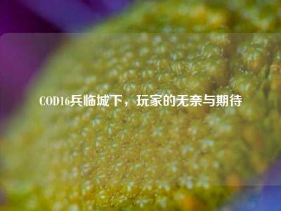 COD16兵临城下，玩家的无奈与期待
