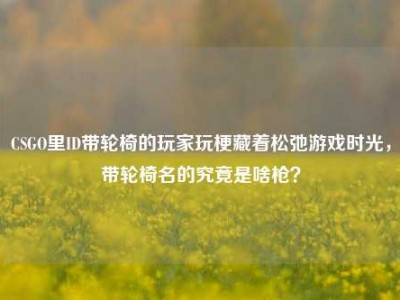 CSGO里ID带轮椅的玩家玩梗藏着松弛游戏时光，带轮椅名的究竟是啥枪？