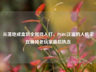 从落地成盒到全图找人打，PUBG泛滥的人机正在磨掉老玩家最后执念