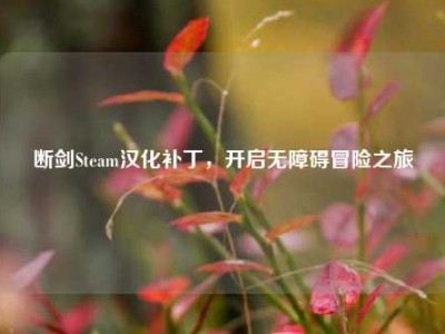 断剑Steam汉化补丁，开启无障碍冒险之旅