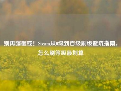 别再瞎砸钱！Steam从0级到百级刷级避坑指南，怎么刷等级最划算