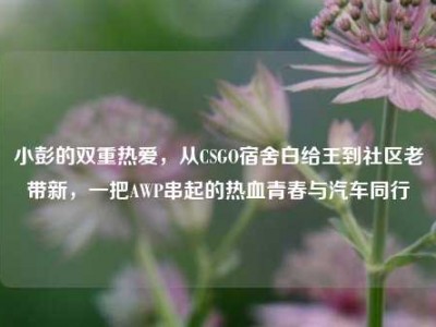 小彭的双重热爱，从CSGO宿舍白给王到社区老带新，一把AWP串起的热血青春与汽车同行