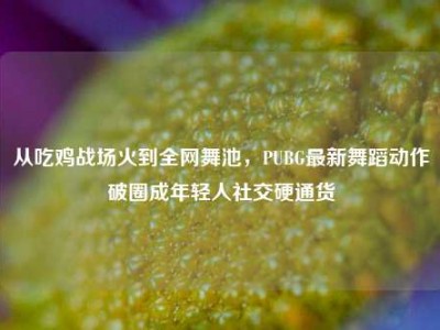从吃鸡战场火到全网舞池，PUBG最新舞蹈动作破圈成年轻人社交硬通货