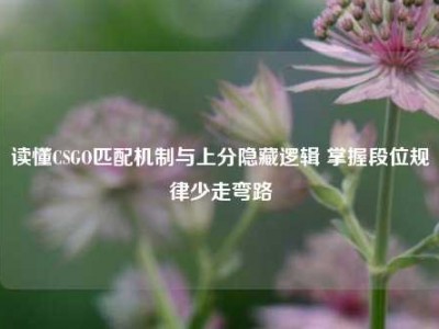 读懂CSGO匹配机制与上分隐藏逻辑 掌握段位规律少走弯路