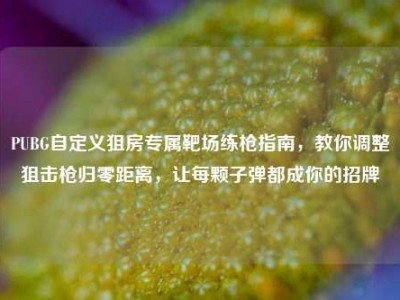 PUBG自定义狙房专属靶场练枪指南，教你调整狙击枪归零距离，让每颗子弹都成你的招牌