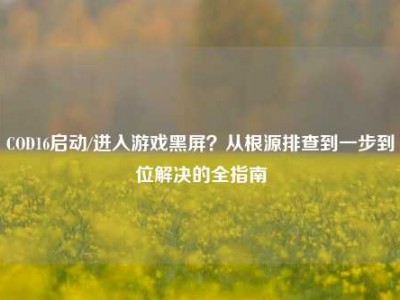 COD16启动/进入游戏黑屏？从根源排查到一步到位解决的全指南