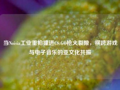 当Noisia工业重拍撞进CS:GO枪火裂隙，横跨游戏与电子音乐的亚文化共振