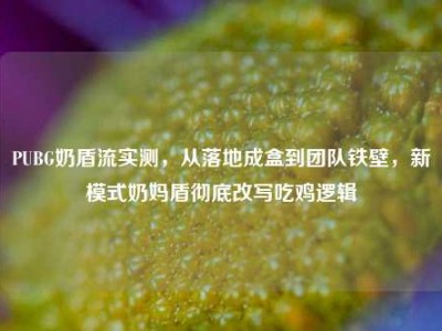 PUBG奶盾流实测，从落地成盒到团队铁壁，新模式奶妈盾彻底改写吃鸡逻辑