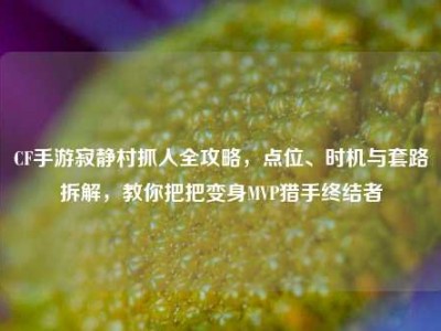CF手游寂静村抓人全攻略，点位、时机与套路拆解，教你把把变身MVP猎手终结者