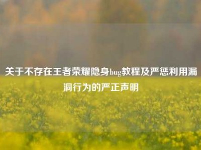 关于不存在王者荣耀隐身bug教程及严惩利用漏洞行为的严正声明