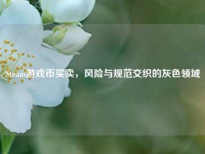 Steam游戏币买卖，风险与规范交织的灰色领域