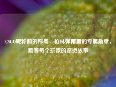 CSGO昵称前的称号，枪林弹雨里的专属勋章，藏着每个玩家的滚烫故事