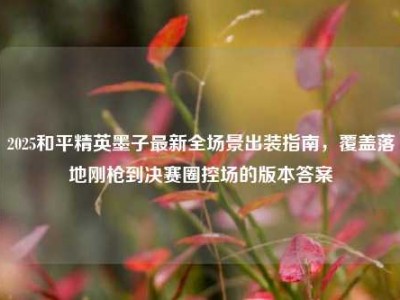 2025和平精英墨子最新全场景出装指南，覆盖落地刚枪到决赛圈控场的版本答案