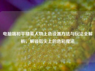 电脑端和平精英人物上色设置方法与玩法全解析，解锁指尖上的色彩魔法