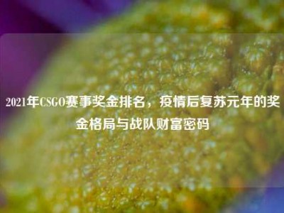 2021年CSGO赛事奖金排名，疫情后复苏元年的奖金格局与战队财富密码